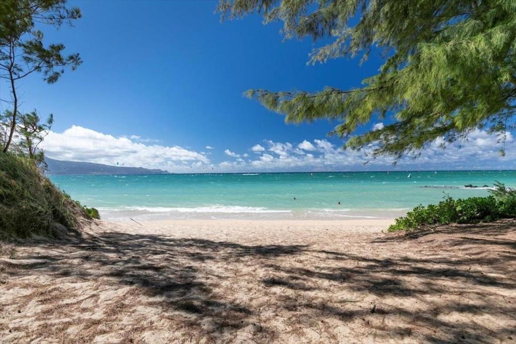 Unit 17 Maui Ohana Modern Studio Wailuku ภายนอก รูปภาพ